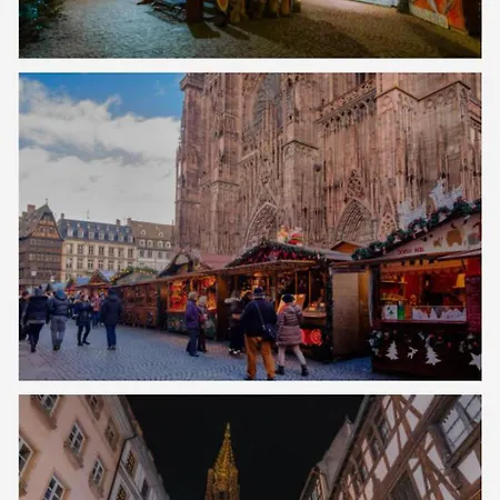 5p 100 M2 Garage 2 Balconiesstrasbourg Center 公寓