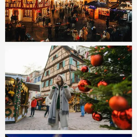 5p 100 M2 Garage 2 Balconiesstrasbourg Center 公寓