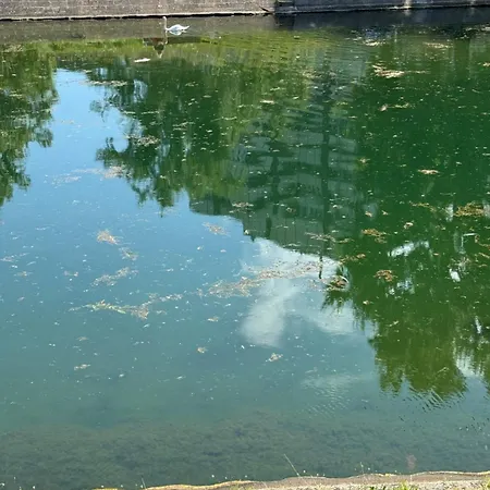 5p 100 M2 Garage 2 Balconiesstrasbourg Center 斯特拉斯堡